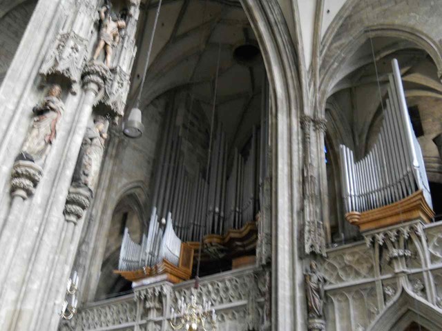 DSCN0036