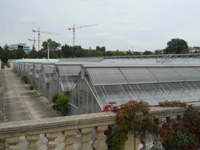DSCN0067