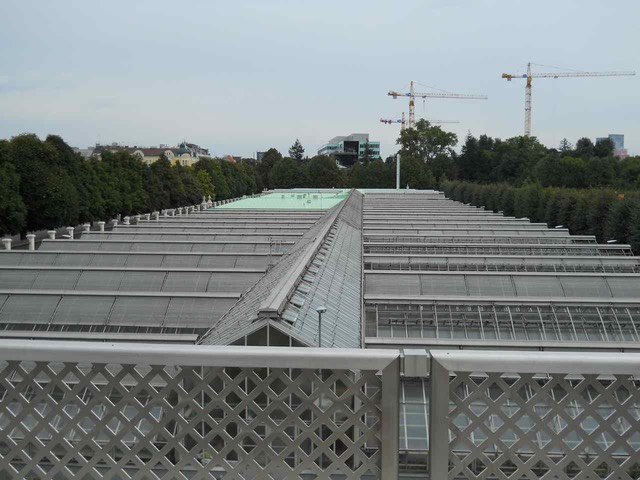 DSCN0078