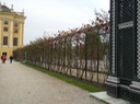 DSCN0092