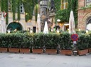 DSCN0099