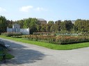 DSCN0120
