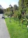 DSCN0123