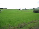 IMG_0069