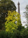 IMG_0072
