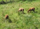 IMG_0073