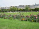 IMG_0113