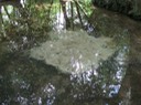 IMG_0189