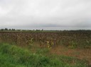 IMG_0236