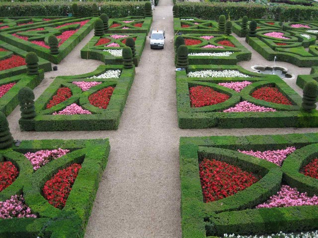 IMG_0323
