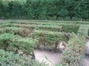 IMG_0338