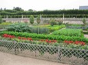 IMG_0352