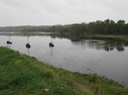 IMG_0355