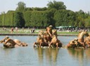IMG_0455