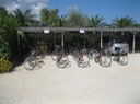 IMG_0543