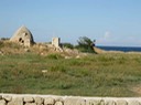 IMG_0572