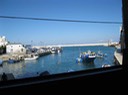 IMG_0598