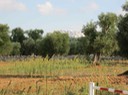 IMG_0624