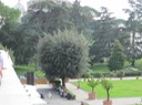 IMG_0763