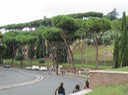 IMG_0818
