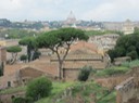 IMG_0830