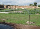 IMG_0836
