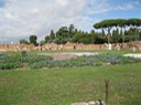IMG_0838