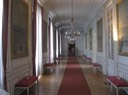 IMG 0951