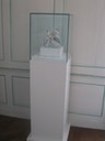 IMG 0953