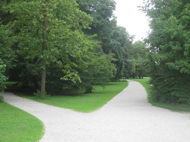 IMG 0969