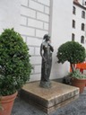 IMG 1062