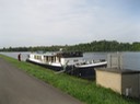 IMG 1187