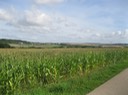 IMG 1190