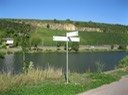 IMG 1219