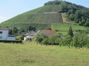 IMG 1229