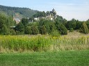 IMG 1253