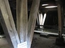 IMG 1260