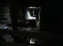IMG 1261