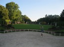 IMG 1293