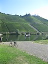 IMG 1329