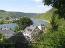 IMG 1350