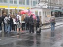 IMG 1435