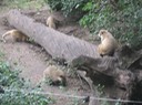 IMG 1488