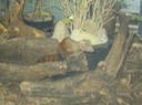 IMG 1502