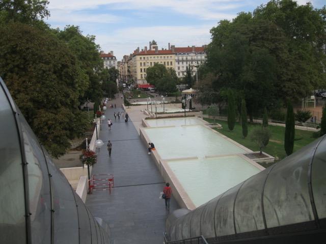 IMG 1510