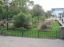 IMG 1514