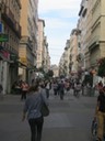 IMG 1516