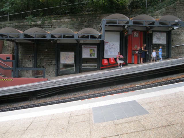 IMG 1517