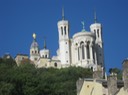 IMG 1579