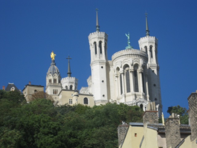 IMG 1579